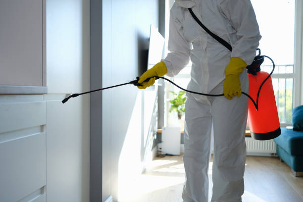 Mold Odor Removal Services in Lake Panasoffkee, FL