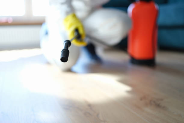 Best Residential Mold Inspection & Testing  in Lake Panasoffkee, FL